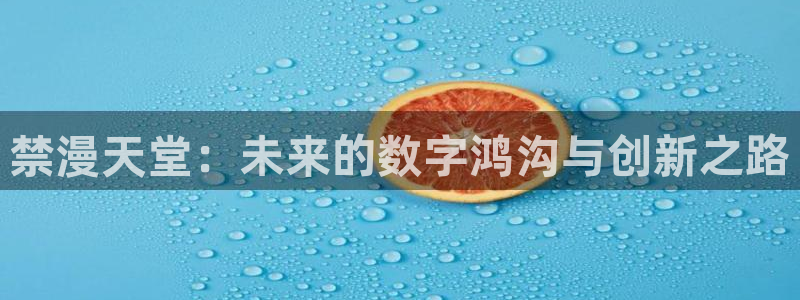 omofunapp下载：禁漫天堂：未来的数字鸿沟与创新之路