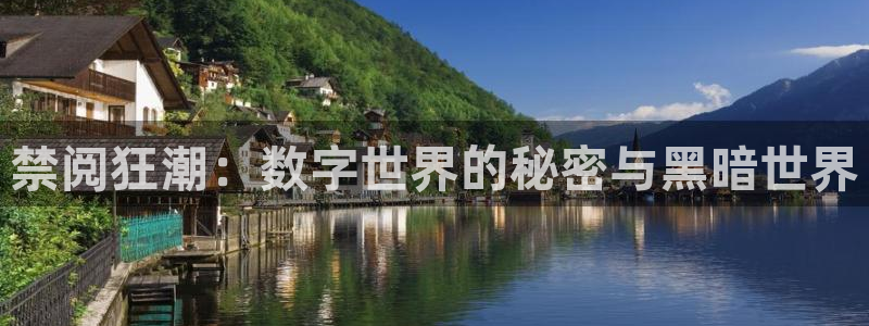 omofun. com：禁阅狂潮：数字世界的秘密与黑暗世界