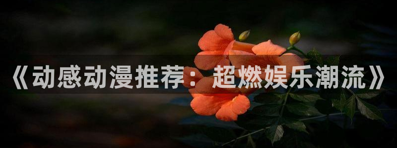 omofun..com：《动感动漫推荐：超燃娱乐潮流》