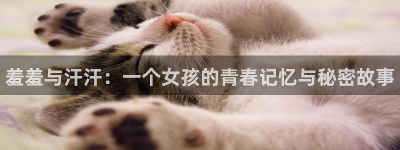 omofunv：羞羞与汗汗：一个女孩的青春记忆与秘密故事