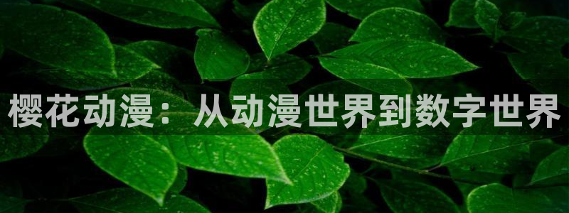 动漫软件omofun：樱花动漫：从动漫世界到数字世界