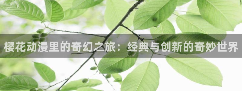omofun电脑版：樱花动漫里的奇幻之旅：经典与创新的奇妙世界