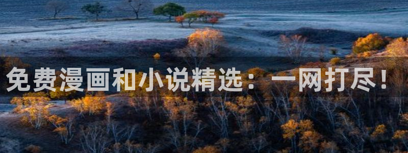 www.omofun.：免费漫画和小说精选：一网打尽！