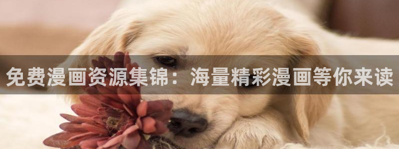 omofun正版app下载：免费漫画资源集锦：海量精彩漫画等你来读