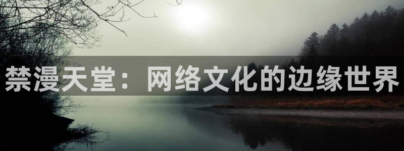 漫蛙漫画：禁漫天堂：网络文化的边缘世界