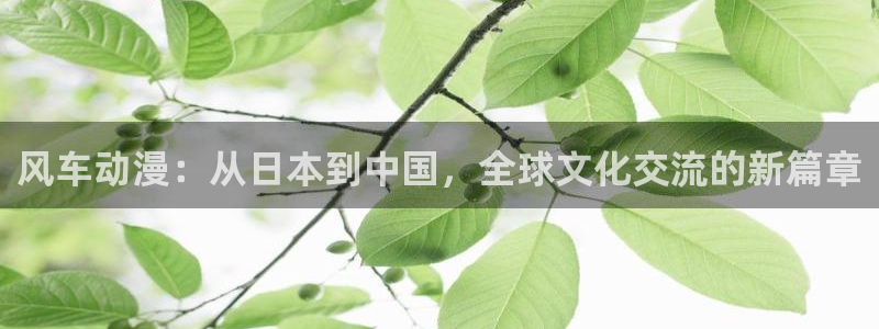 www.omofun：风车动漫：从日本到中国，全球文化交流的新篇章