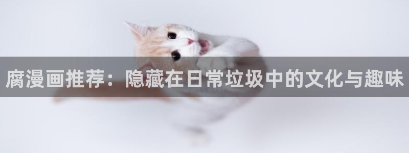omofun.con：腐漫画推荐：隐藏在日常垃圾中的文化与趣味