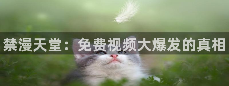 omofun动漫官方首页：禁漫天堂：免费视频大爆发的真相