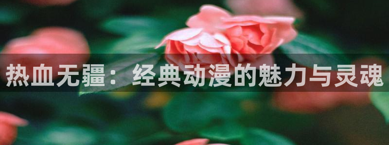 omofun怎么下：热血无疆：经典动漫的魅力与灵魂
