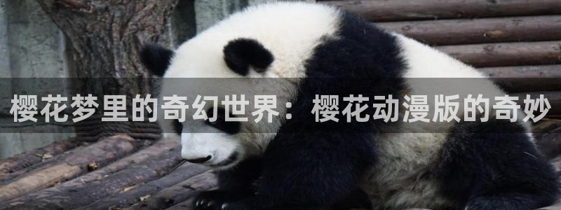 下载omofun：樱花梦里的奇幻世界：樱花动漫版的奇妙