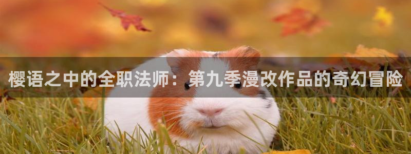 omofun动漫软件：樱语之中的全职法师：第九季漫改作品的奇幻冒险