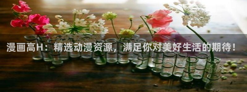 动漫共和国(omofun)官网下载：漫画高H：精选动漫资源，满足你对美好生活的期待！