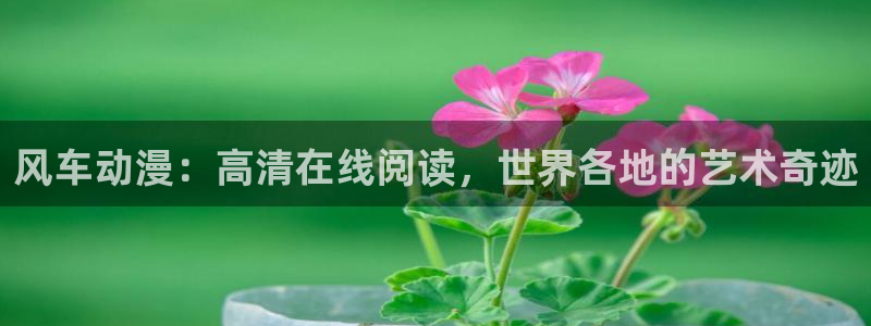 漫蛙漫画网站入口：风车动漫：高清在线阅读，世界各地的艺术奇迹
