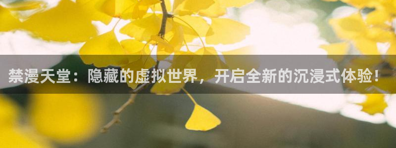 omofun动漫在线观看动漫最新版本更新：禁漫天堂：隐藏的虚拟世界，开启全新的沉浸式体验！