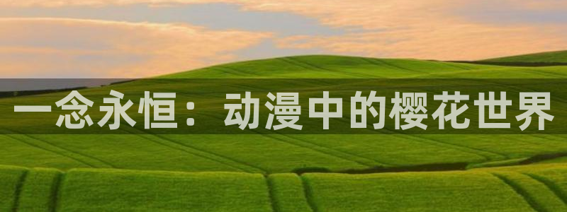 omofun网站直达：一念永恒：动漫中的樱花世界