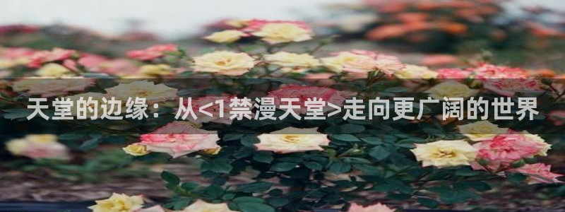 omofun动漫网站入口：天堂的边缘：从<1禁漫天堂>走向更广阔的世界