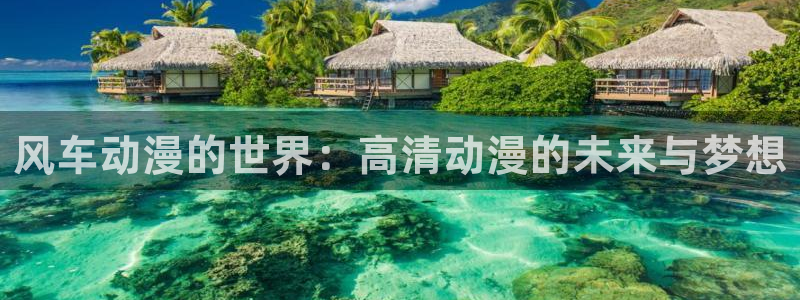 omofun在线观看免费动漫：风车动漫的世界：高清动漫的未来与梦想