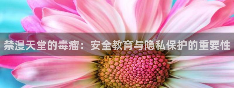 omofun是正经软件吗：禁漫天堂的毒瘤：安全教育与隐私保护的重要性