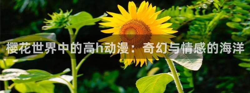 omofun动漫官方下载app：樱花世界中的高h动漫：奇幻与情感的海洋