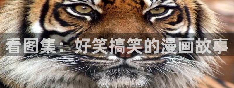 omofun.top：看图集：好笑搞笑的漫画故事