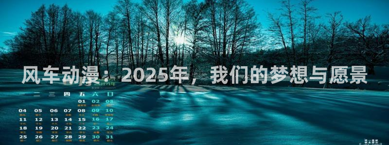 omofun网页入口版：风车动漫：2025年，我们的梦想与愿景