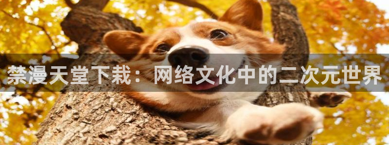 omofun动漫官网在线观看：禁漫天堂下栽：网络文化中的二次元世界