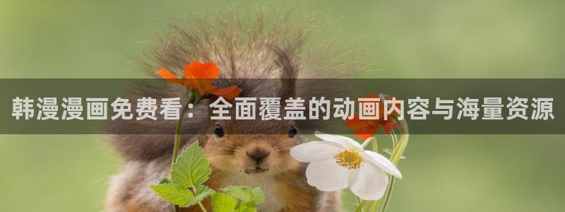 omofun下载官方正版网站：韩漫漫画免费看：全面覆盖的动画内容与海量资源