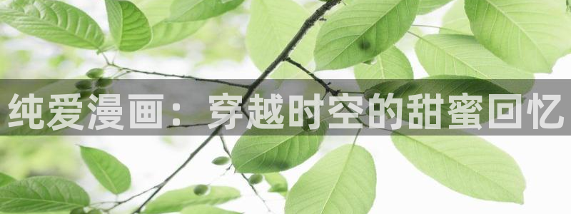 omofun无广告：纯爱漫画：穿越时空的甜蜜回忆