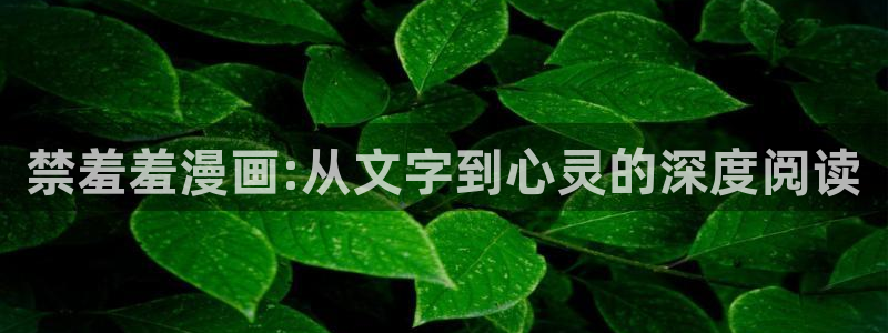 动漫共和国omofun下载：禁羞羞漫画:从文字到心灵的深度阅读