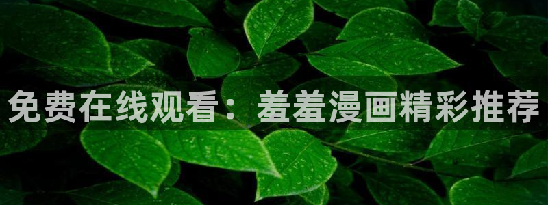 omofunpc：免费在线观看：羞羞漫画精彩推荐