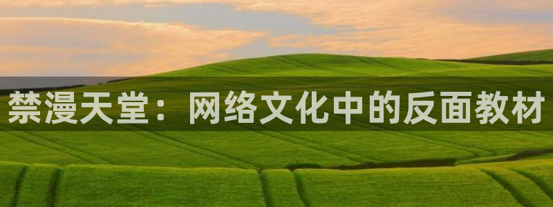 omofun漫画官网入口：禁漫天堂：网络文化中的反面教材